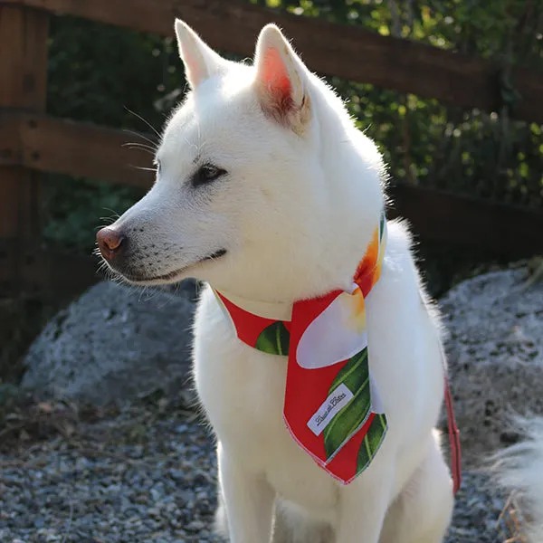 Cooling Neck Tie or Headband for Dogs and People - Red