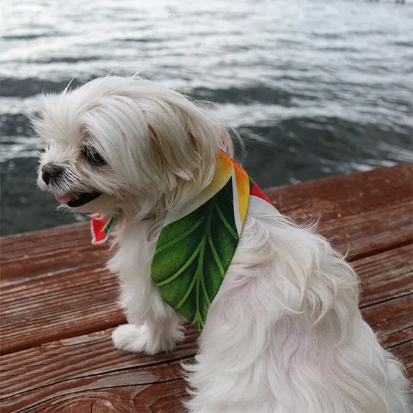 Cooling Neck Tie or Headband for Dogs and People - Red